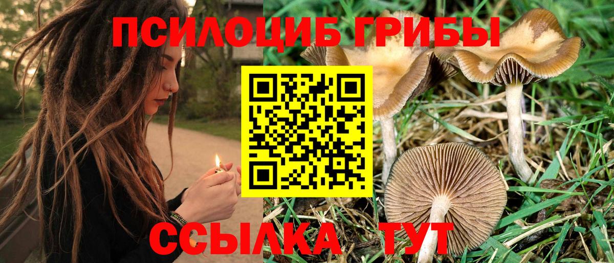 Галлюциногенные грибы GOLDEN TEACHER Ногинск